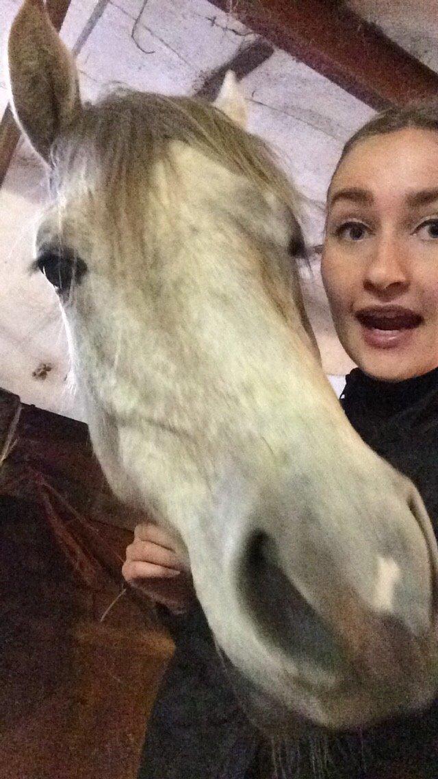 Arabisk fuldblod (OX) JBA JOANA OX -tidligere hest - Min bedste ven <3 MAJ 2015 billede 13