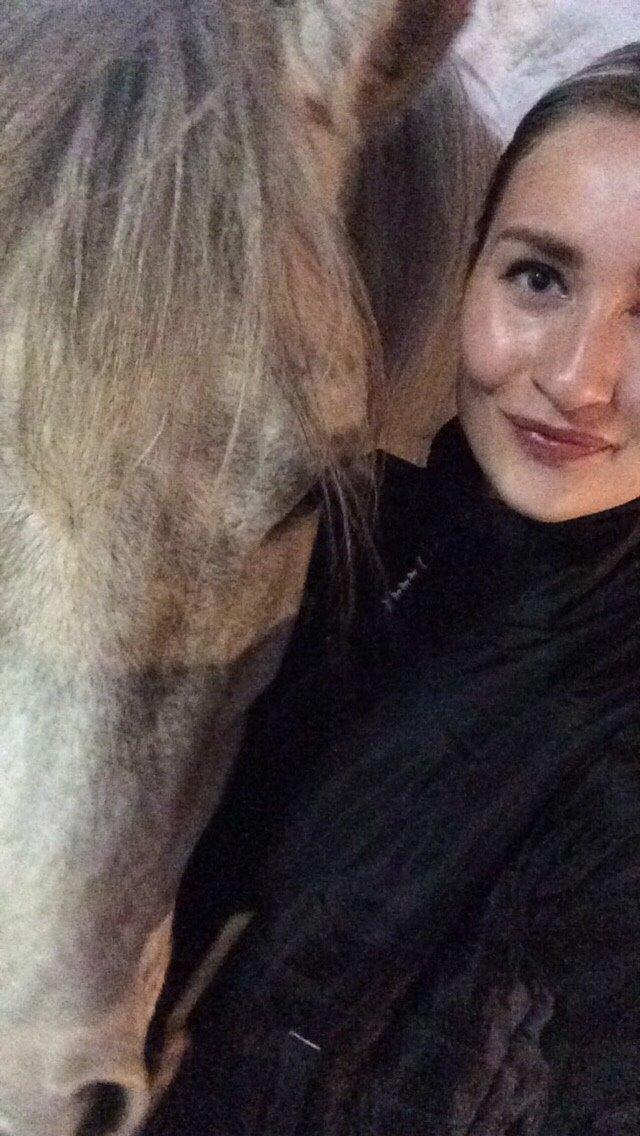 Arabisk fuldblod (OX) JBA JOANA OX -tidligere hest - min bedste ven <3 MAJ 2015 billede 15