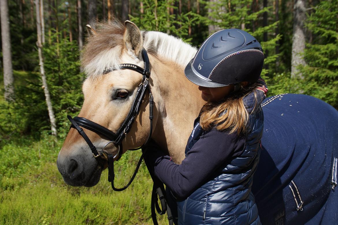 Fjordhest Håkon EM-, NM- og DM-mester samt B-pony  - Bedste venner  billede 12