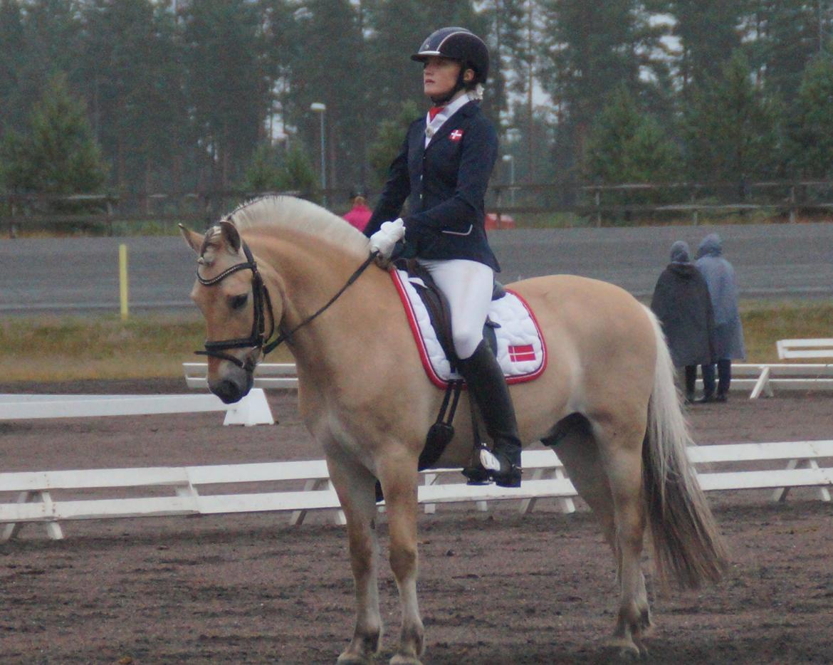 Fjordhest Håkon EM-, NM- og DM-mester samt B-pony  - Nordisk Mesterskab 2015 billede 10