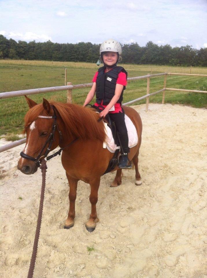 Anden særlig race Lotte billede 1