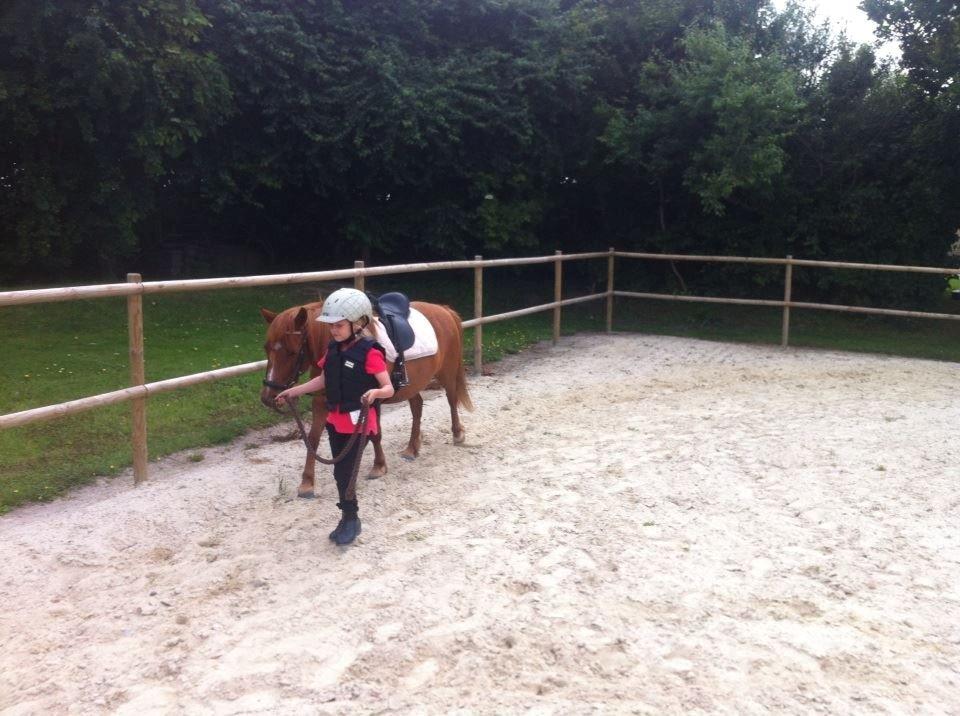 Anden særlig race Lotte billede 14