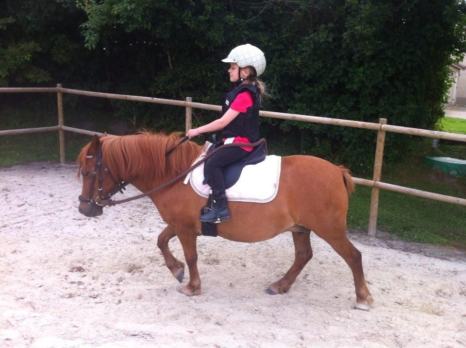 Anden særlig race Lotte billede 13