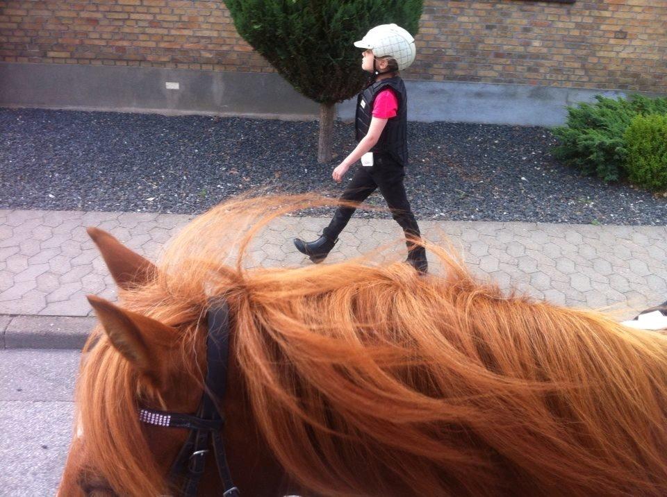 Anden særlig race Lotte billede 16