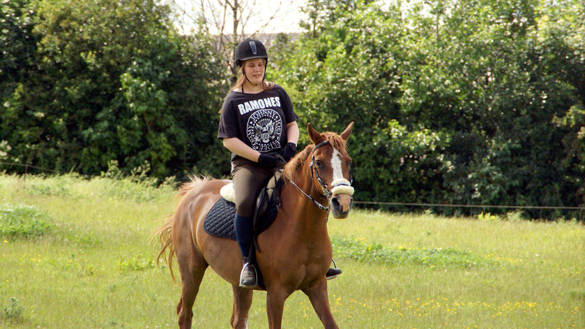 Anden særlig race Misty - Foto; Casper Pedersen billede 10