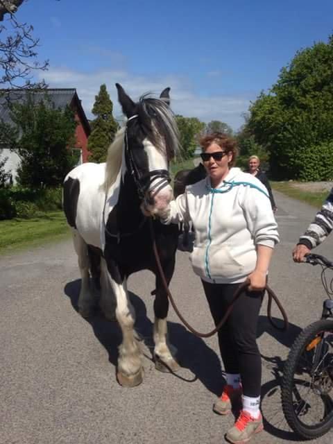 Tinker Madigan billede 1