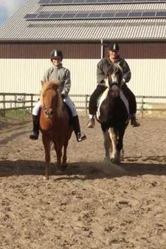 Tinker Madigan billede 9