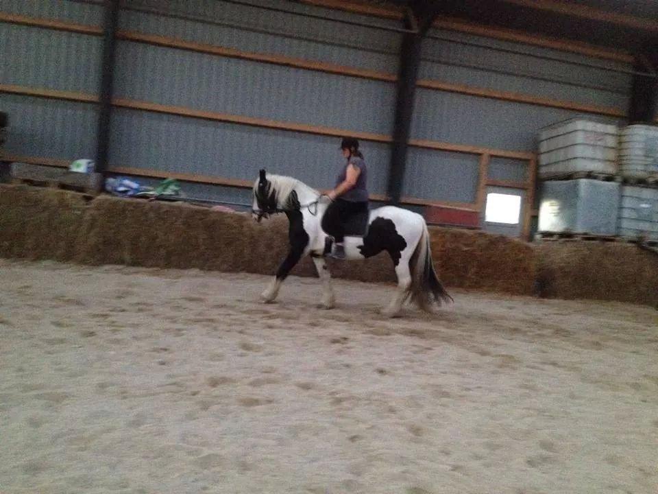 Tinker Madigan billede 7