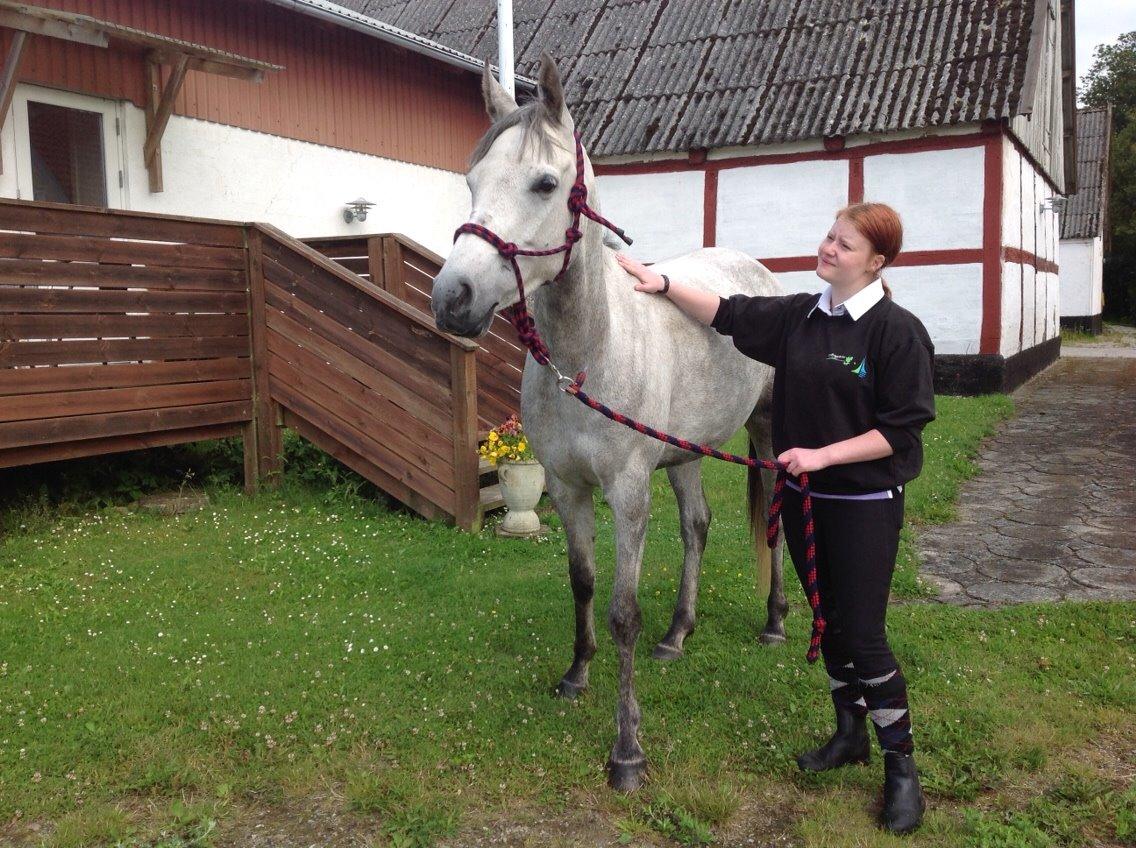 Anden særlig race Frikka billede 12