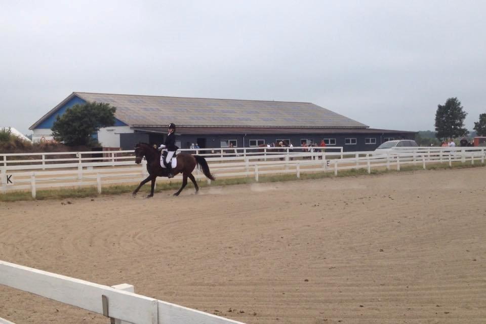 DSP Stidsbjergs Duster billede 2