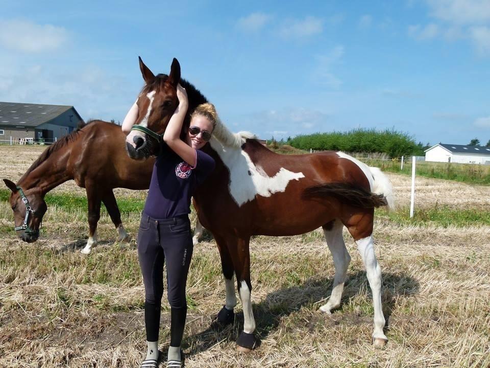 Anden særlig race Akeleje - Sødeste Akeleje mus!<3 billede 2