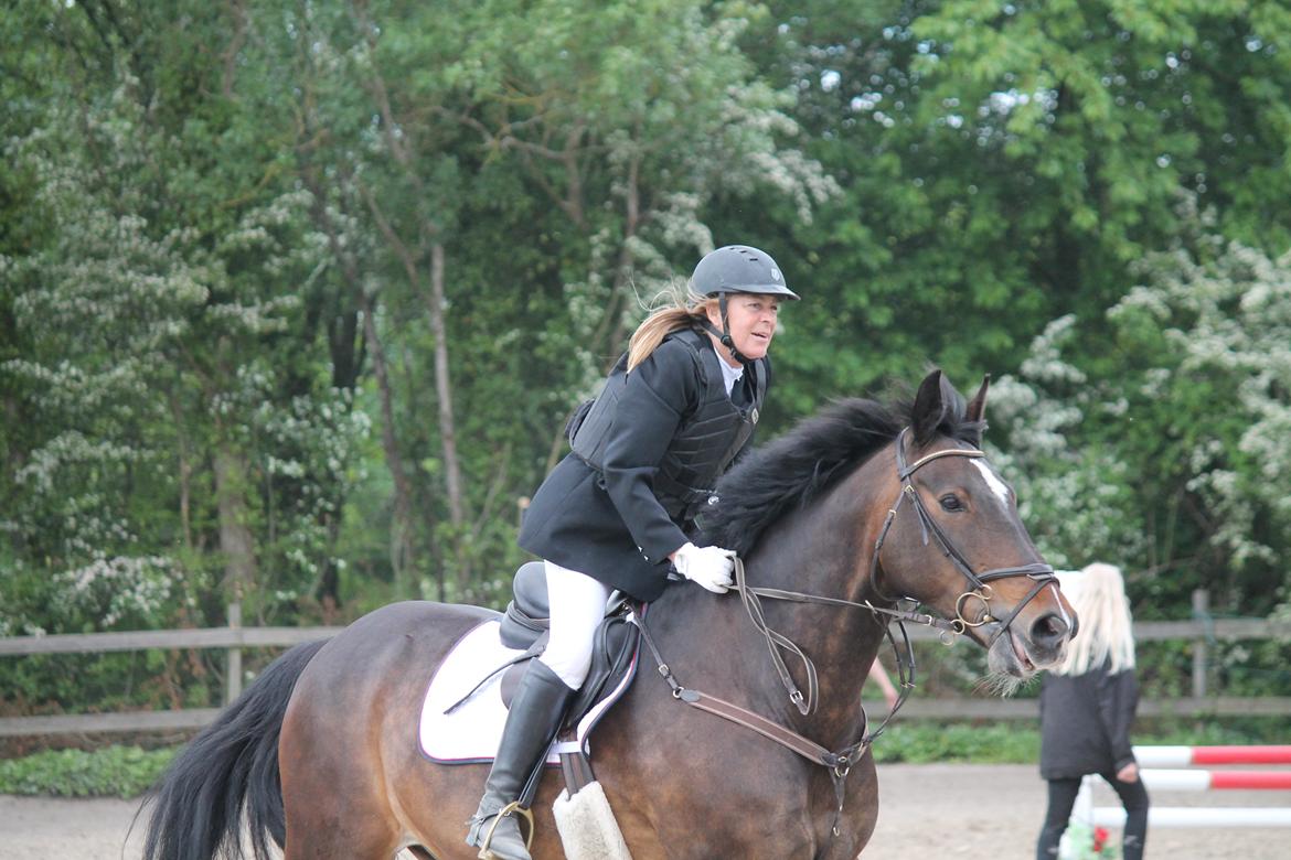 Anden særlig race Hector - Stævne på gården jnui 2015 billede 9