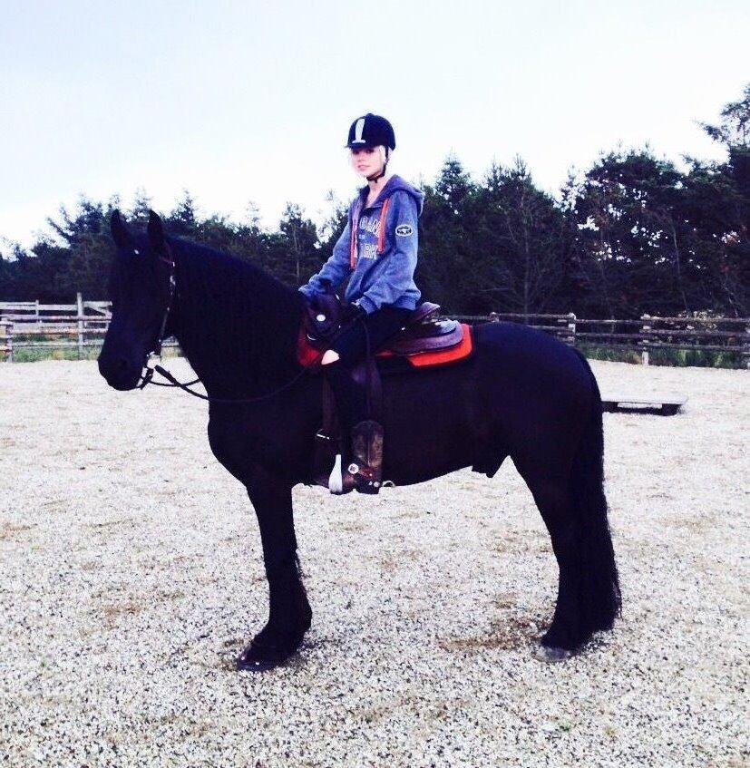 Frieser Tjark billede 7