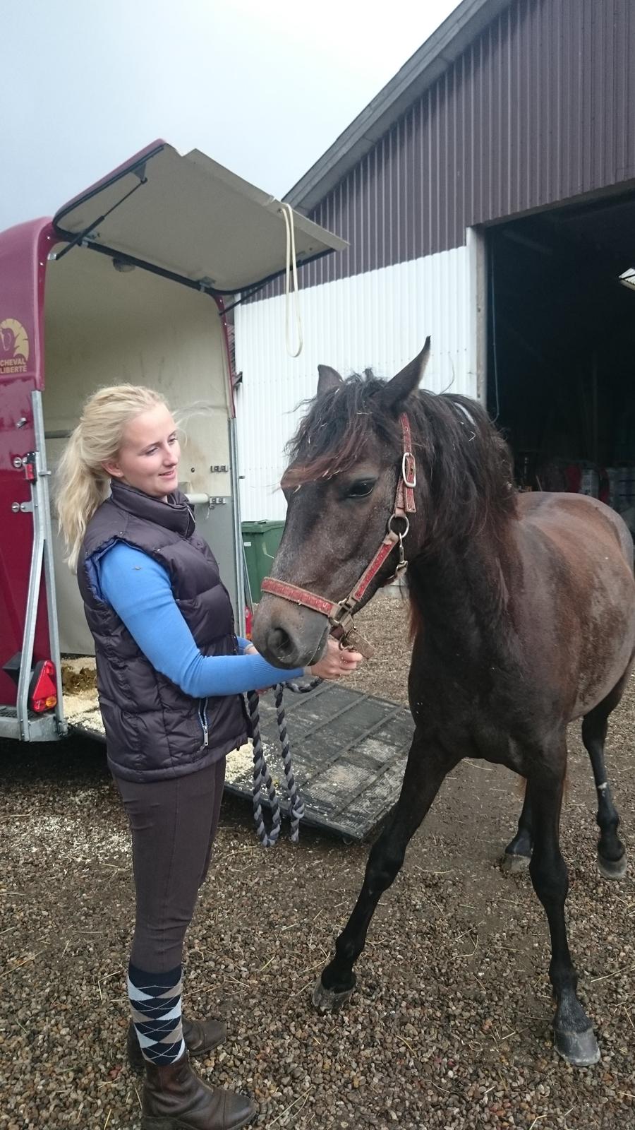 Connemara Granly's Weena  billede 19