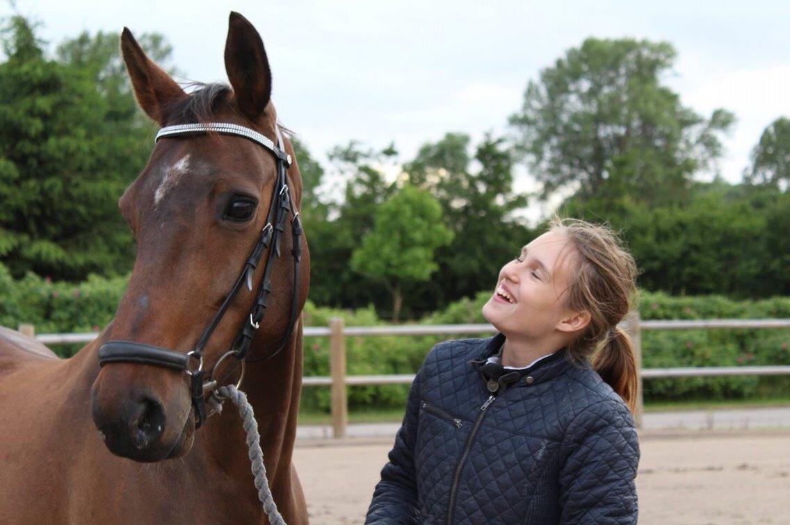 Anden særlig race Amy (SOLGT) billede 9