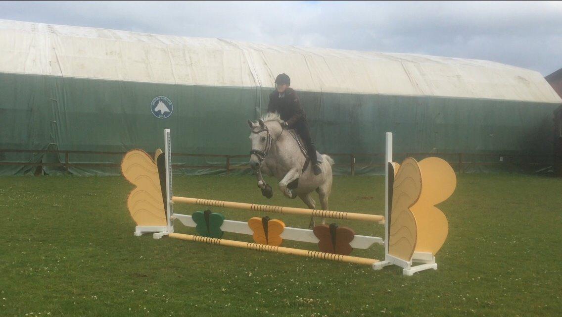 Anden særlig race Milleniums Maybe billede 4