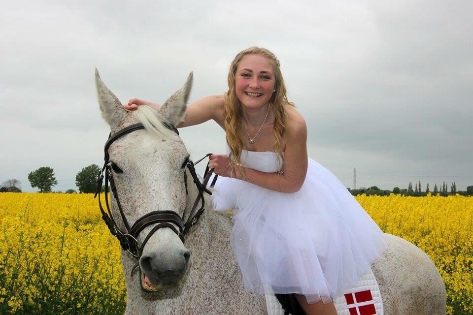 Anden særlig race Milleniums Maybe billede 7