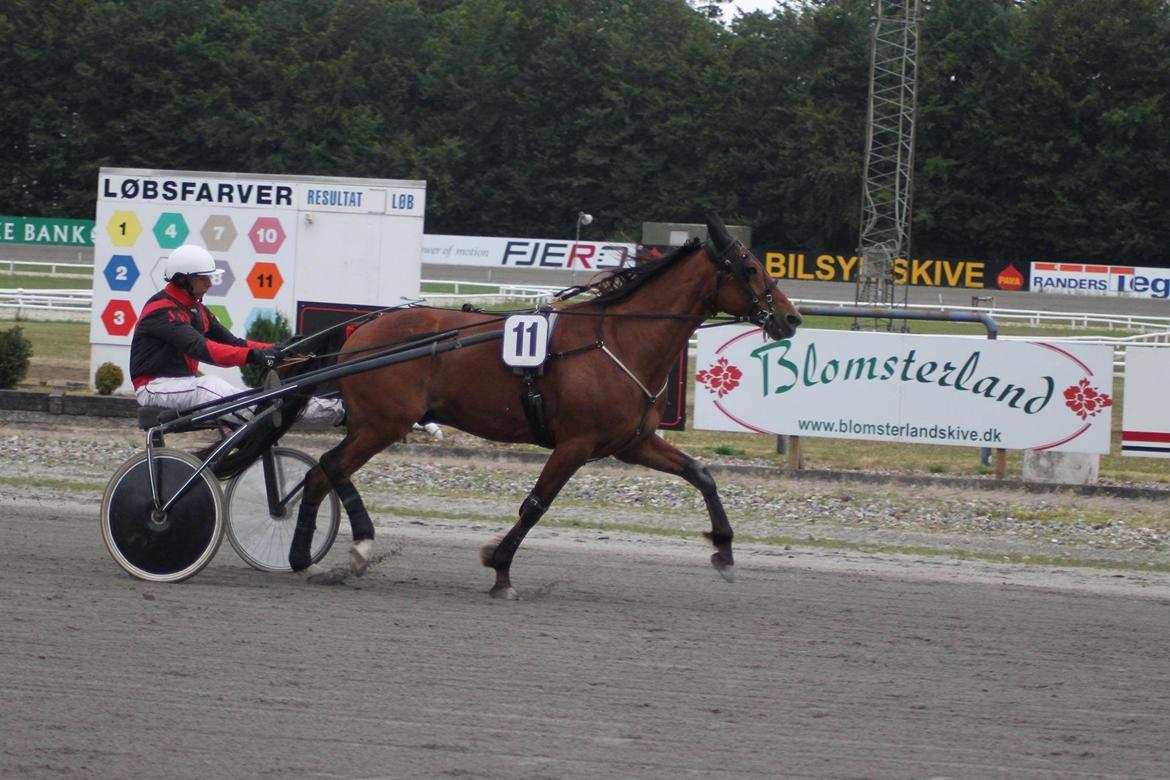 Traver Magic frazer - 27juli.15 billede 16