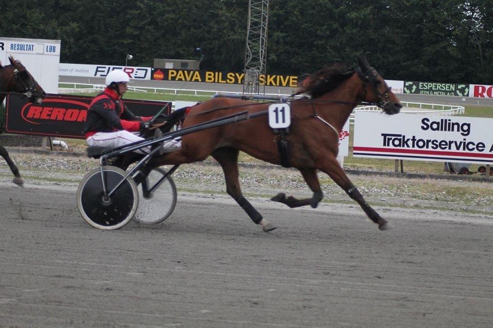 Traver Magic frazer - d.27.juli.15 billede 13