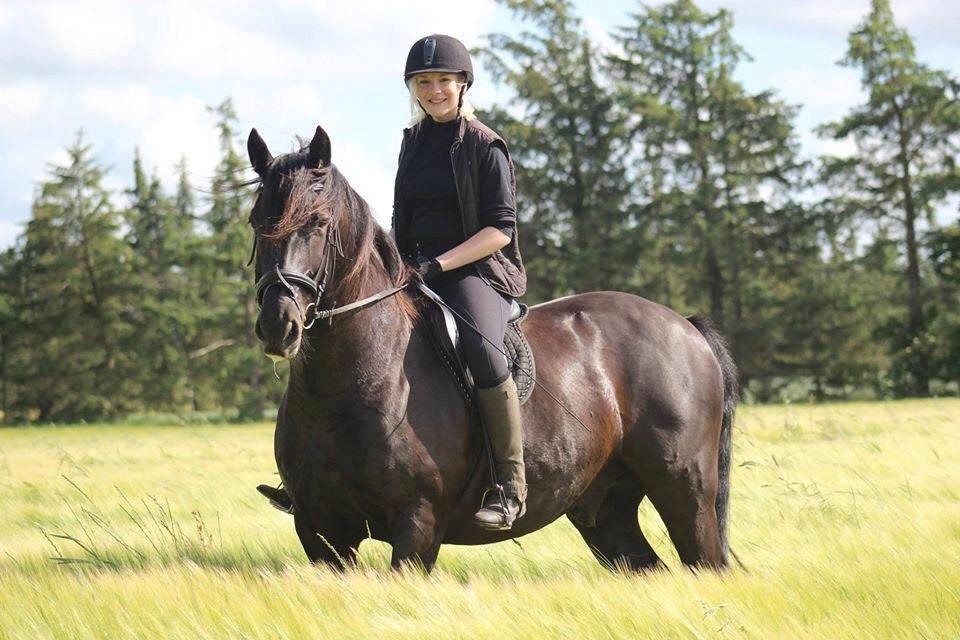 Anden særlig race Speedy billede 1