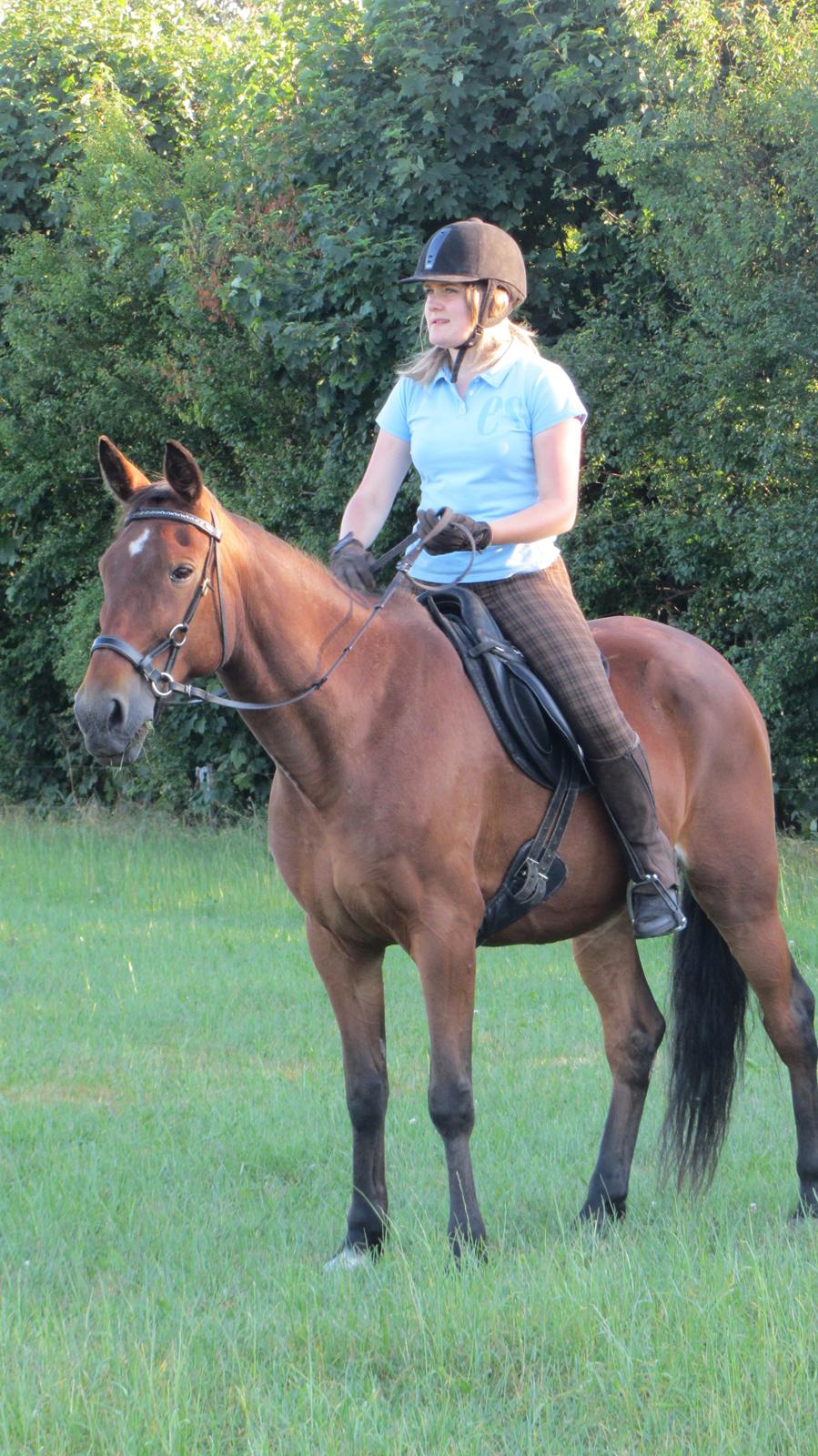 Traver Hera Waltz billede 11