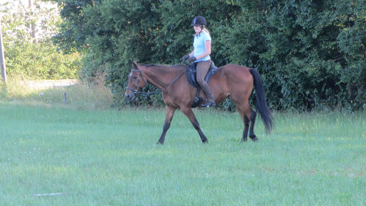 Traver Hera Waltz billede 12