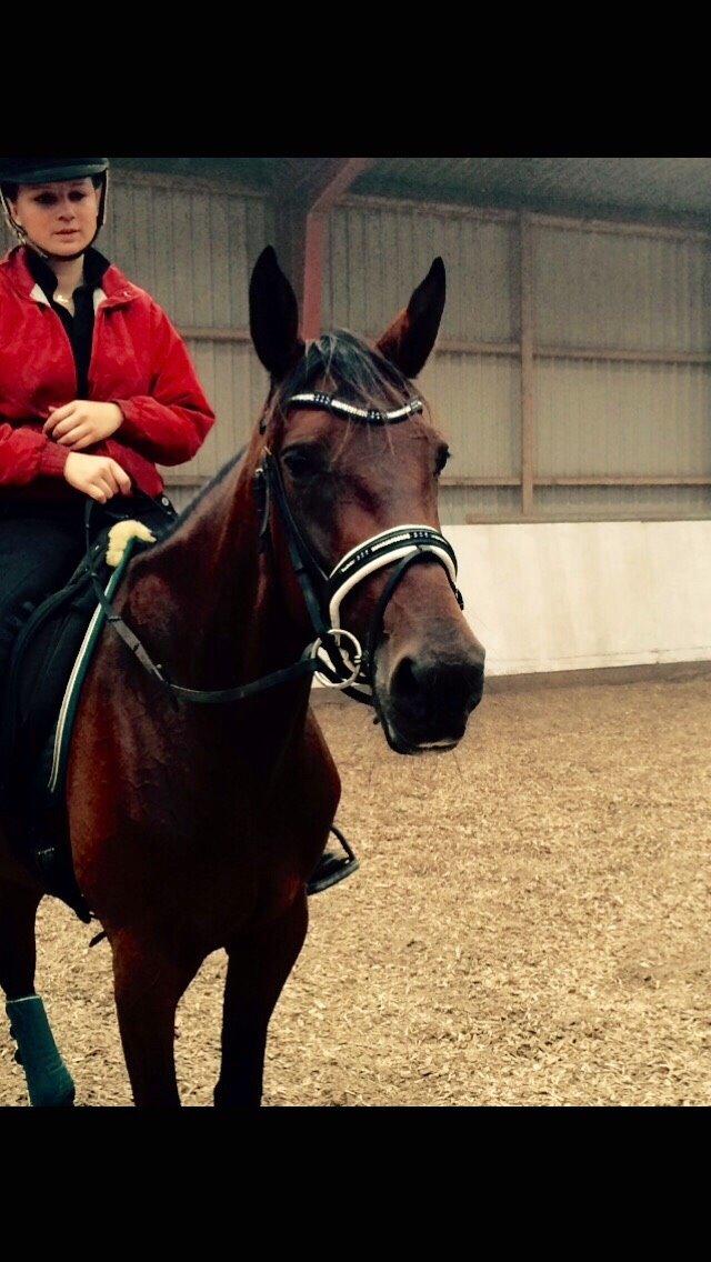 Traver Victoria L O billede 2