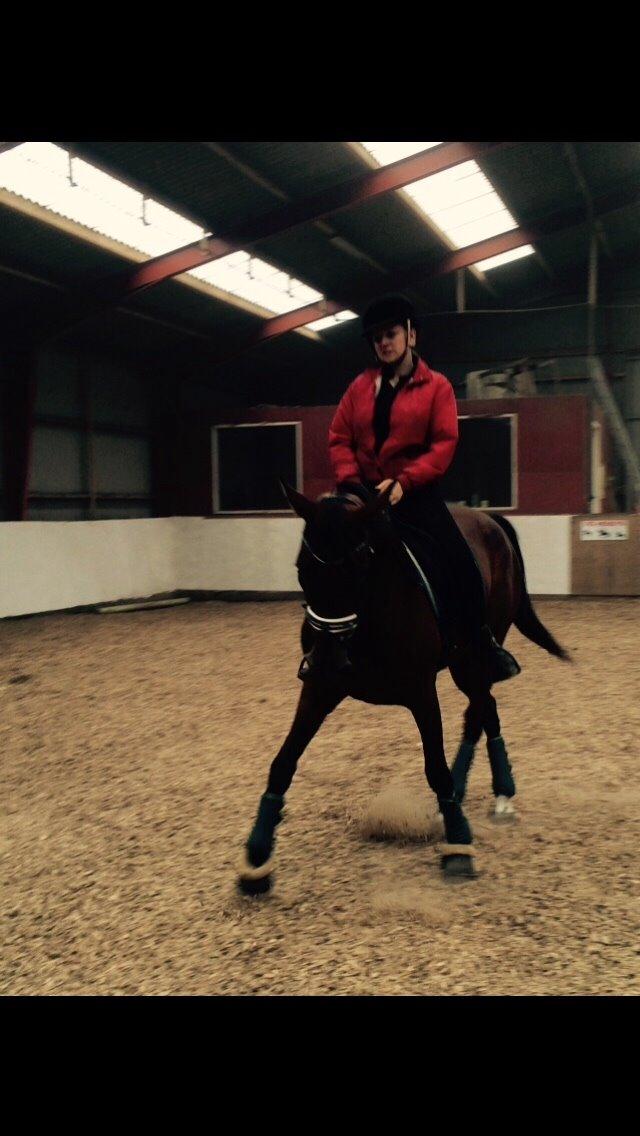 Traver Victoria L O billede 9