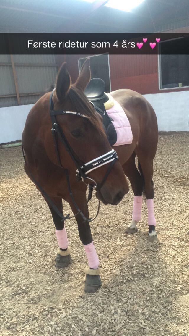 Traver Victoria L O billede 13