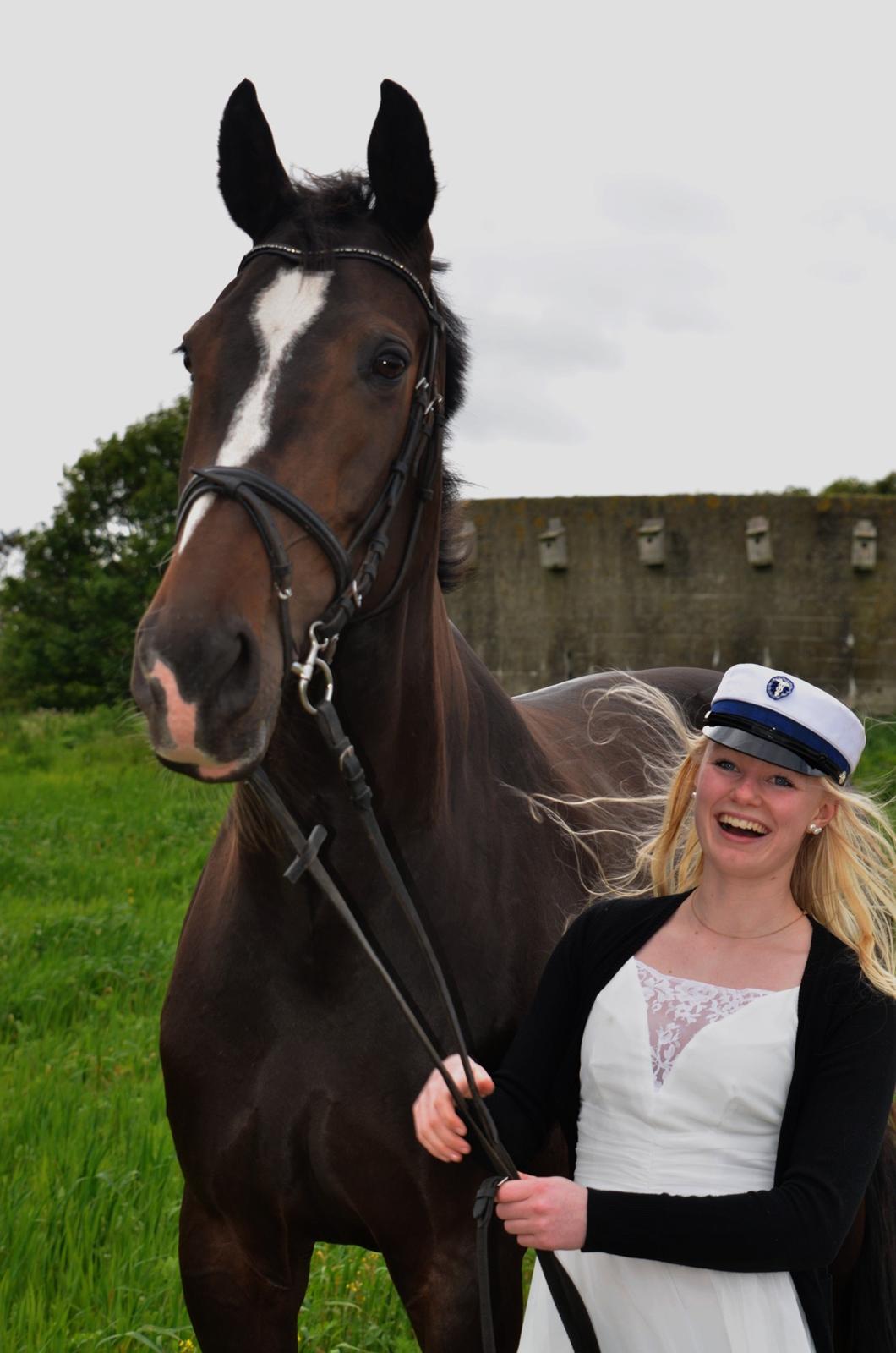 Dansk Varmblod Stald Nyborgs Chantell - Foto: Anita H. Rasmussen billede 36