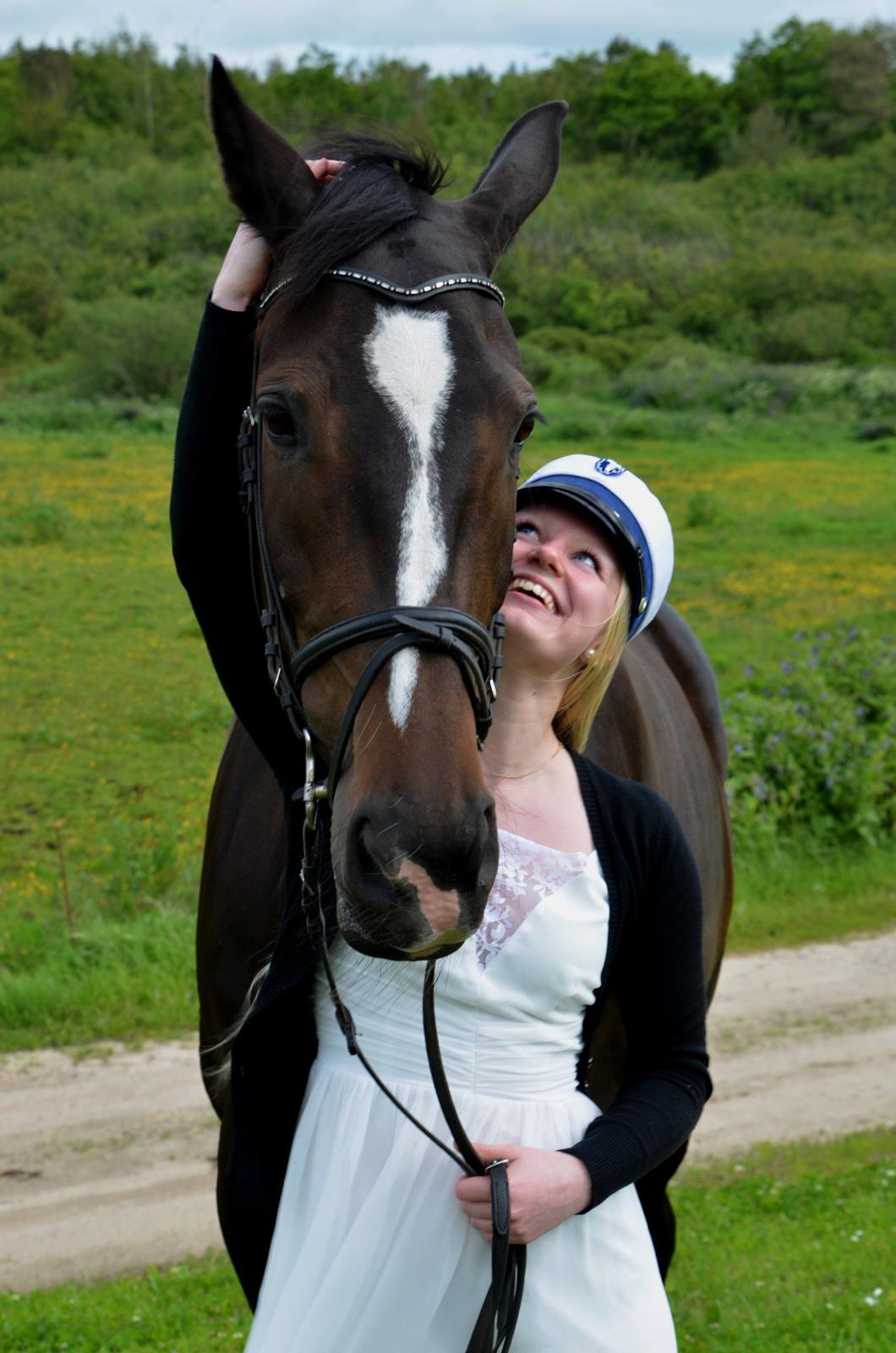 Dansk Varmblod Stald Nyborgs Chantell - Foto: Anita H. Rasmussen billede 38