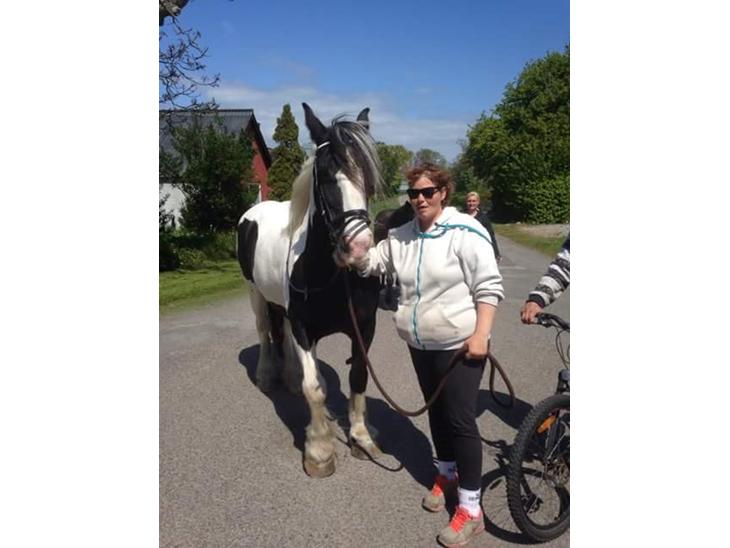 {{currentPhoto.altText}} billede {{currentPhoto.number}}