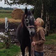 Anden særlig race Fie