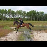 Anden særlig race Gambling Fame