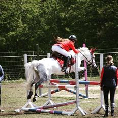 Anden særlig race Lyngdalgårds Star light<3<3!!!
