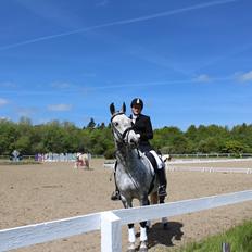 Anden særlig race Leonardo Søblink (Leo)