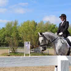 Anden særlig race Leonardo Søblink (Leo)