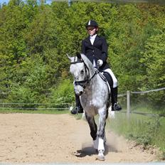 Anden særlig race Leonardo Søblink (Leo)