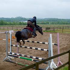 Anden særlig race Naomi