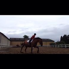 Anden særlig race White one