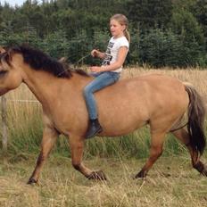 Anden særlig race Maude af mølleagergård