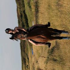 Anden særlig race Josefine.