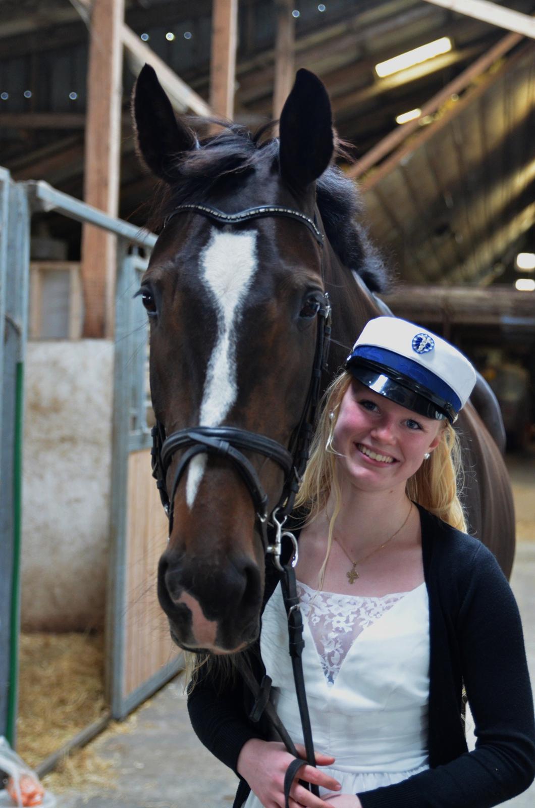 Dansk Varmblod Stald Nyborgs Chantell - Foto: Anita H. Rasmussen billede 44