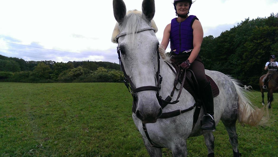 Dansk Varmblod Venus - træning sønderskov 2015 billede 16