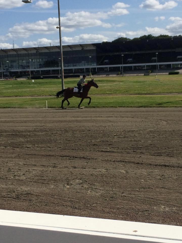 Traver Marster Park - marster og mig der varmer op billede 4
