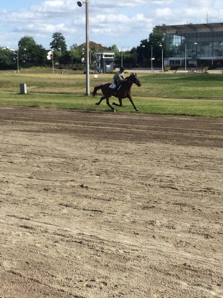 Traver Marster Park billede 10