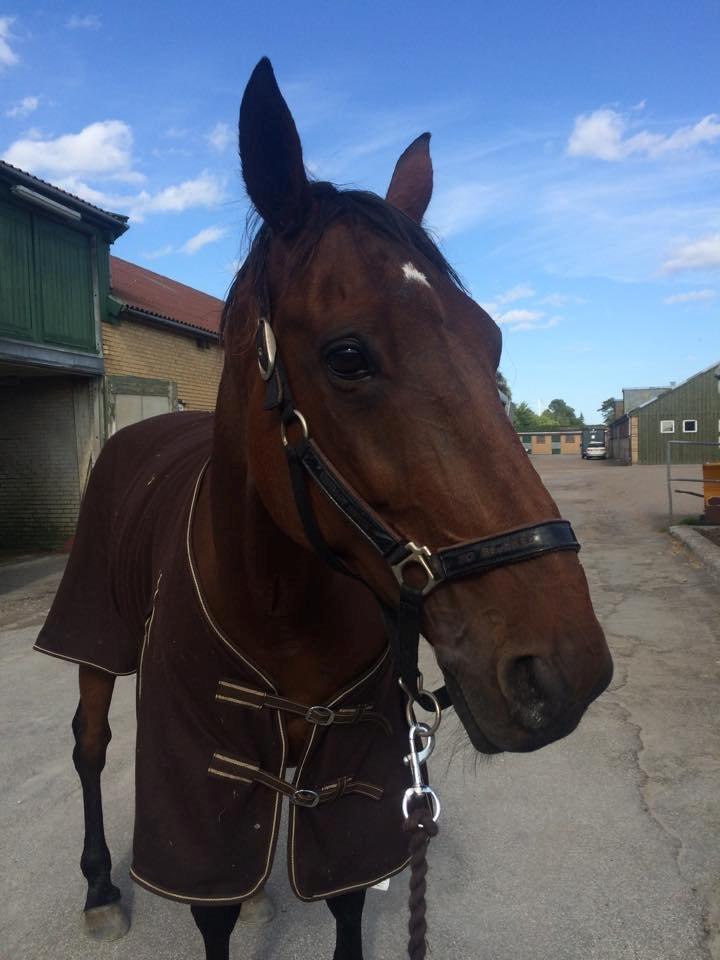 Traver Marster Park billede 13