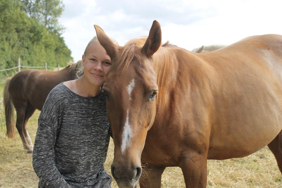 Anden særlig race Misty (Mira) (tidl part) billede 18