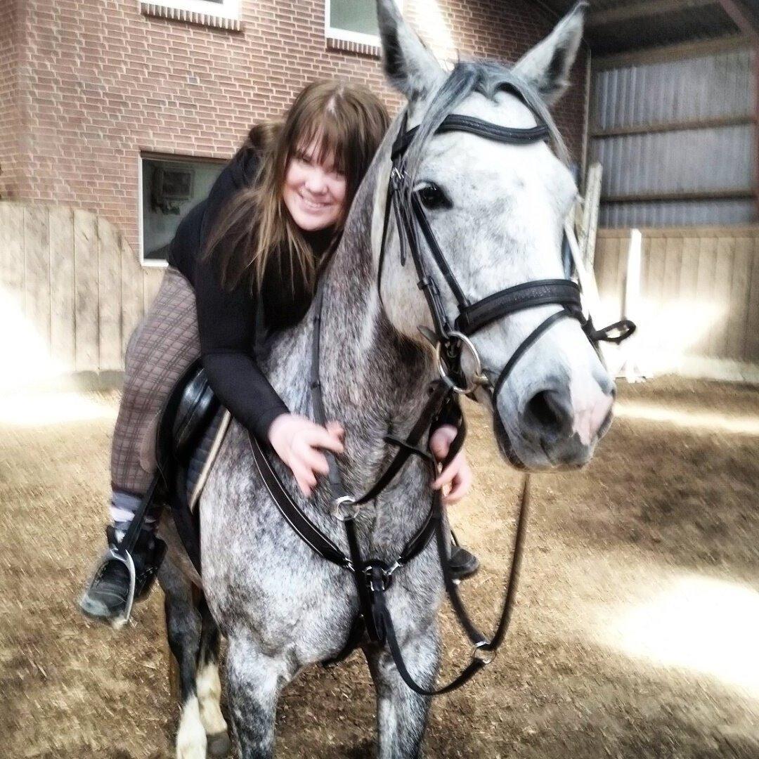 Welsh Partbred (Sec F) Gravens Lady Diana billede 8