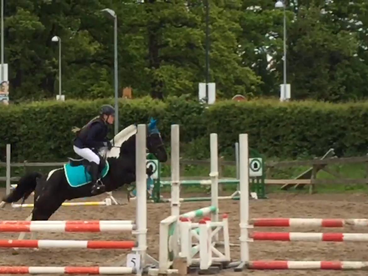 Anden særlig race Bounty - Charmetrold  - ok bare sæt af 1,5 meter før springet men vi kom over uden at rive billede 4